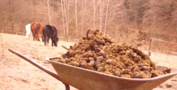 Hnoj z koní ako hnojivo: vlastnosti aplikácie