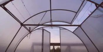 Kako narediti okno za rastlinjak s polikarbonatom to storite sami