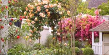 Vrtnice v oblikovanju krajine: sorte in ideje za sajenje