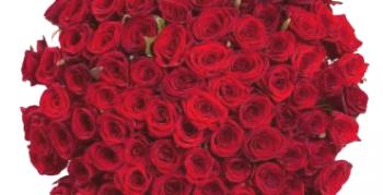 Ako udržať rezané ruže čerstvé vo váze na dlho
