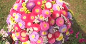 Cvetlični vrt z zasukom: najboljše sorte aster za prvotno cvetlično gredico