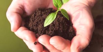 Ako zlepšiť úrodnosť pôdy: efektívne metódy hnojenia