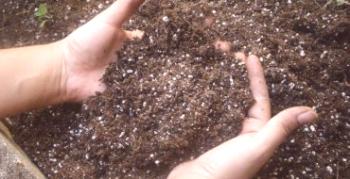 Hnojivo na báze chloridu draselného: použitia a odrody