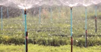 Tehnične značilnosti in uporaba škropilnic za zalivanje vrta