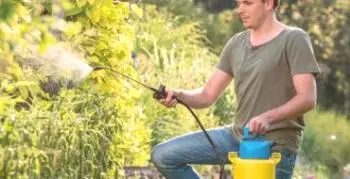Najlepšie príklady záhradných postrekovačov v špičkových modeloch 2019: 20