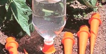Ako zorganizovať zalievanie záhrady pomocou plastových fliaš