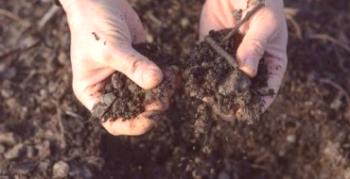 Čo je obrábaná pôda v skleníku na dezinfekciu